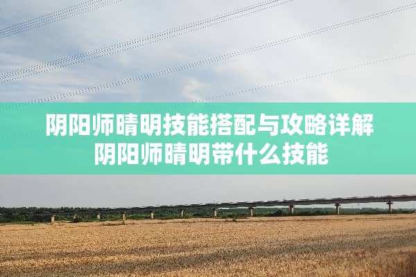 *阳师晴明技能搭配与攻略详解*阳师晴明带什么技能