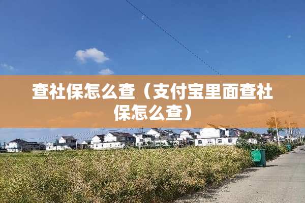 查社保怎么查（支付宝里面查社保怎么查）