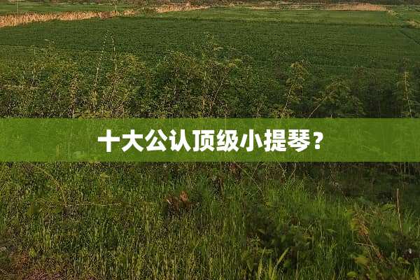 十大公认**小提琴？