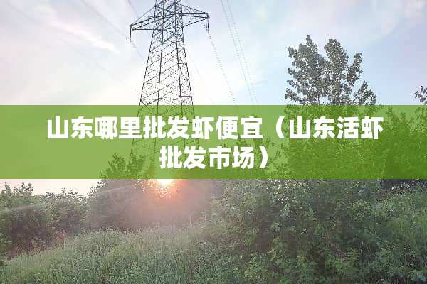 山东哪里批发虾便宜（山东活虾批发市场）
