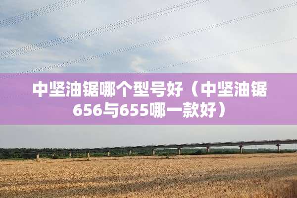 中坚油锯哪个型号好（中坚油锯656与655哪一款好）
