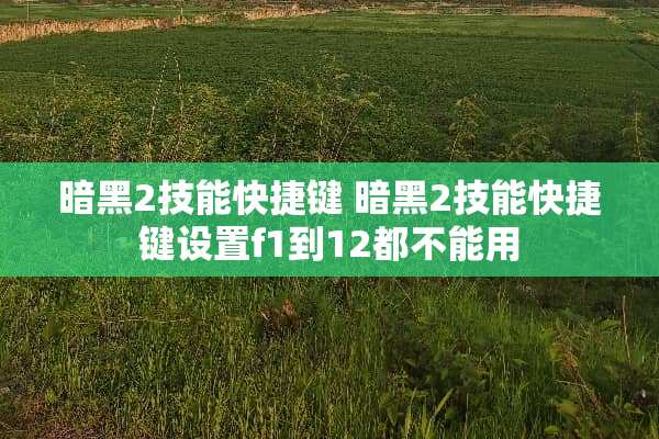 暗黑2技能快捷键 暗黑2技能快捷键设置f1到12都不能用