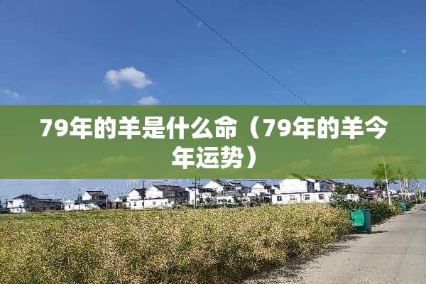 79年的羊是什么命（79年的羊今年运势）
