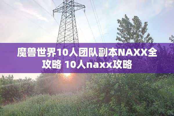 魔兽世界10人团队副本NAXX全攻略 10人naxx攻略