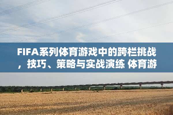 FIFA系列体育游戏中的跨栏挑战，技巧、策略与实战演练 体育游戏跨栏的玩法