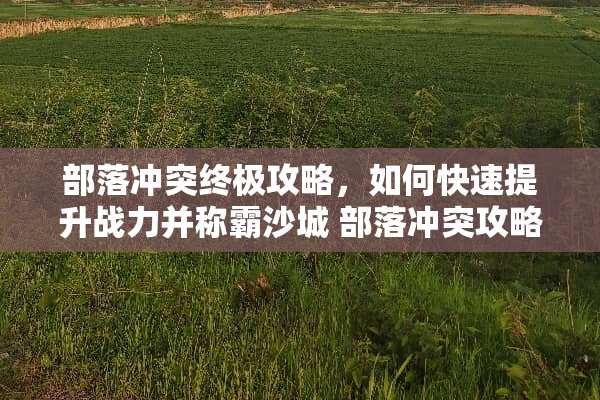 部落冲突终极攻略，如何快速提升战力并称霸沙城 部落冲突攻略