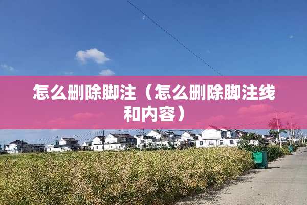 怎么删除脚注（怎么删除脚注线和内容）