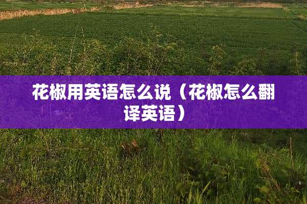 花椒用英语怎么说（花椒怎么翻译英语）