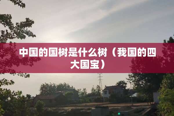 中国的国树是什么树（我国的四大国宝）