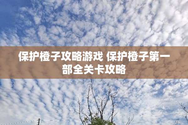 保护橙子攻略游戏 保护橙子第一部全关卡攻略
