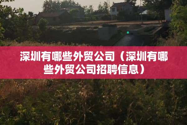 深圳有哪些外贸公司（深圳有哪些外贸公司招聘信息）