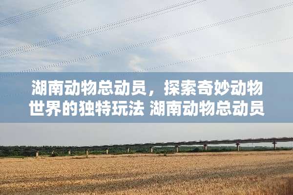 湖南动物总动员，探索奇妙动物世界的独特玩法 湖南动物总动员玩法