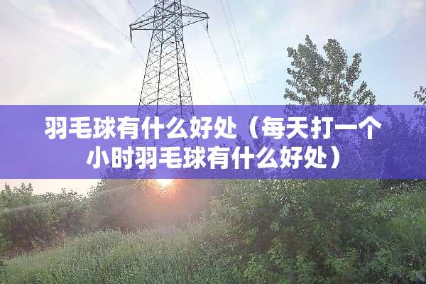 羽毛球有什么好处（每天打一个小时羽毛球有什么好处）