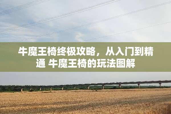 牛魔王椅终极攻略，从入门到精通 牛魔王椅的玩法图解