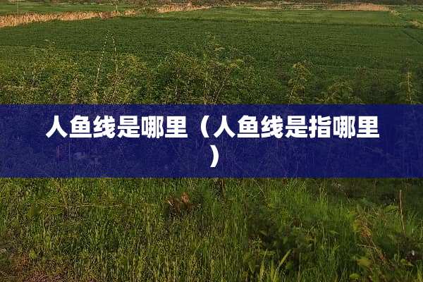 人鱼线是哪里（人鱼线是指哪里）