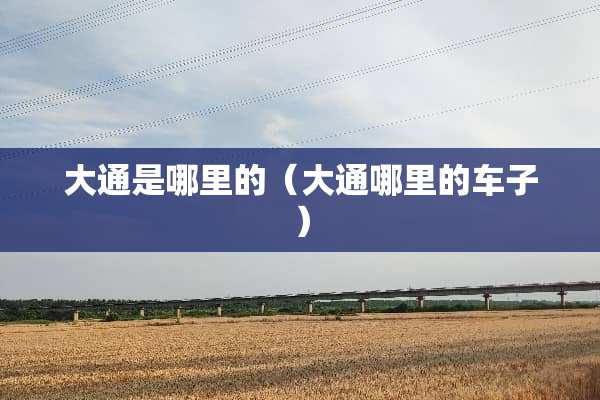 大通是哪里的（大通哪里的车子）