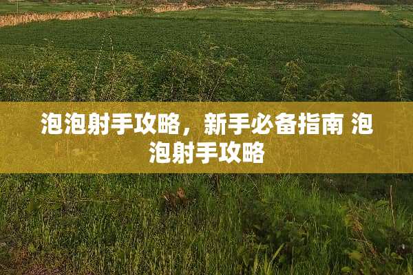 泡泡射手攻略，新手必备指南 泡泡射手攻略