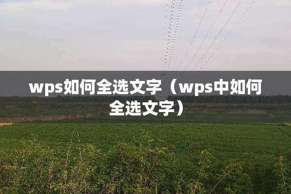 wps如何全选文字（wps中如何全选文字）
