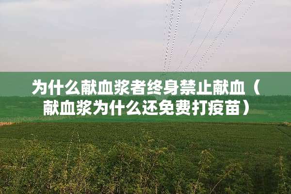 为什么献血浆者终身禁止献血（献血浆为什么还免费打**）