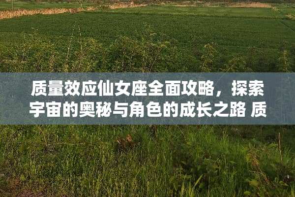 质量效应仙女座全面攻略，探索宇宙的奥秘与角色的成长之路 质量效应仙女座攻略