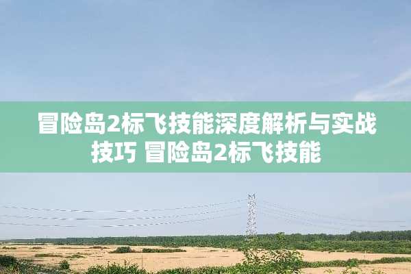 冒险岛2标飞技能深度解析与实战技巧 冒险岛2标飞技能