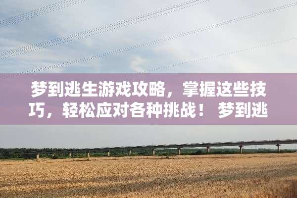 梦到逃生游戏攻略，掌握这些技巧，轻松应对各种挑战！ 梦到逃生游戏攻略