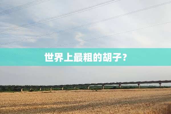 世界上最粗的胡子？