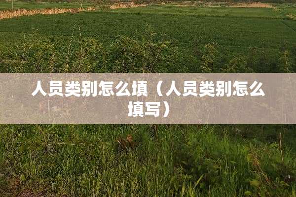 人员类别怎么填（人员类别怎么填写）