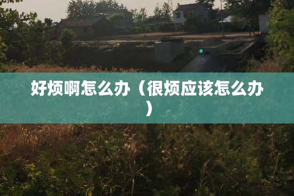 好烦啊怎么办（很烦应该怎么办）