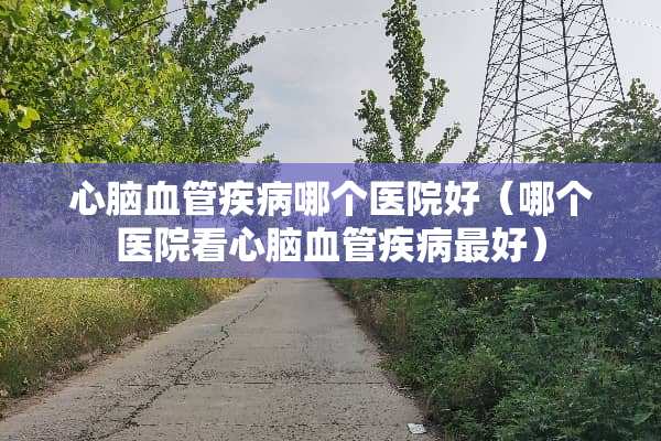 心脑血管疾病哪个医院好（哪个医院看心脑血管疾病最好）