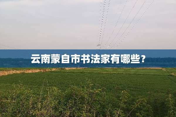 云南蒙自市书法家有哪些？