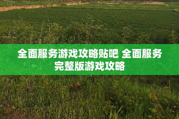 全面服务游戏攻略贴吧 全面服务完整版游戏攻略
