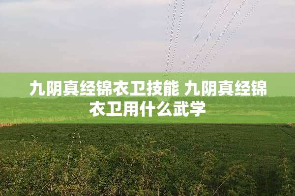 九*真经锦衣卫技能 九*真经锦衣卫用什么武学