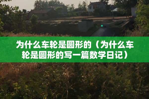 为什么车轮是圆形的（为什么车轮是圆形的写一篇数学日记）