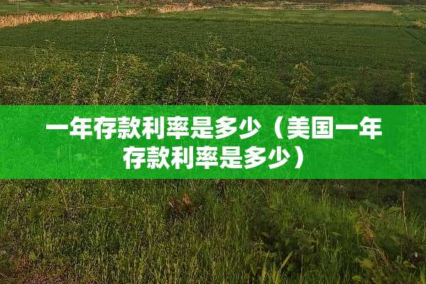一年存款利率是多少（美国一年存款利率是多少）