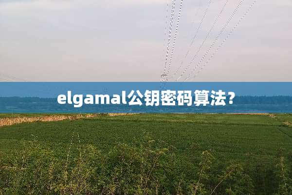 elgamal公钥密码算法？