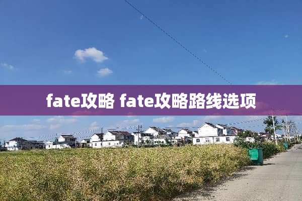 fate攻略 fate攻略路线选项