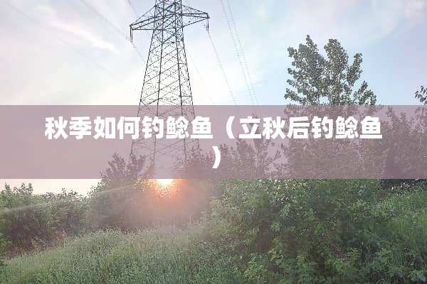 秋季如何钓鲶鱼（立秋后钓鲶鱼）