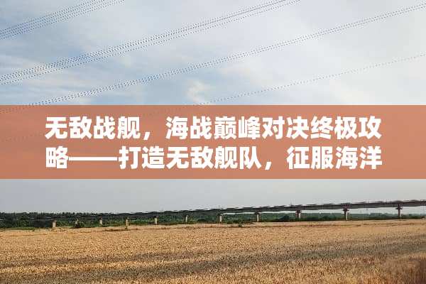 无敌战舰，海战巅峰对决终极攻略——打造无敌舰队，征服海洋！ 无敌战舰游戏通关攻略