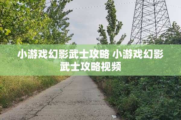 小游戏幻影武士攻略 小游戏幻影武士攻略视频