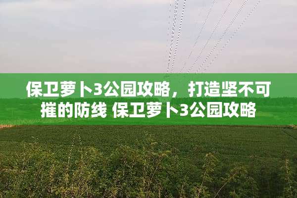 保卫萝卜3公园攻略，打造坚不可摧的防线 保卫萝卜3公园攻略