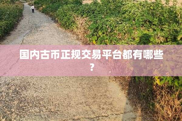 国内古币正规交易平台都有哪些？