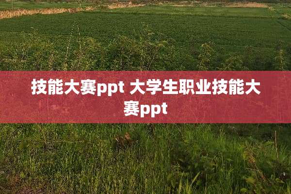 技能大赛ppt 大学生职业技能大赛ppt