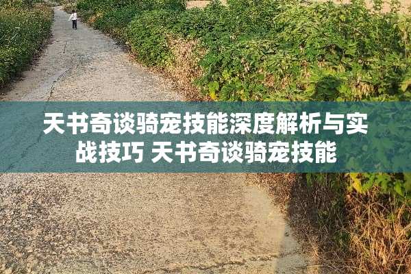 天书奇谈骑宠技能深度解析与实战技巧 天书奇谈骑宠技能