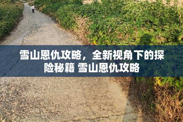 雪山恩仇攻略，全新视角下的探险秘籍 雪山恩仇攻略