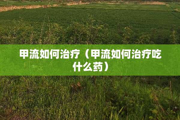 甲流如何治疗（甲流如何治疗吃什么药）