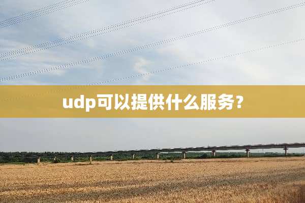 udp可以提供什么服务？