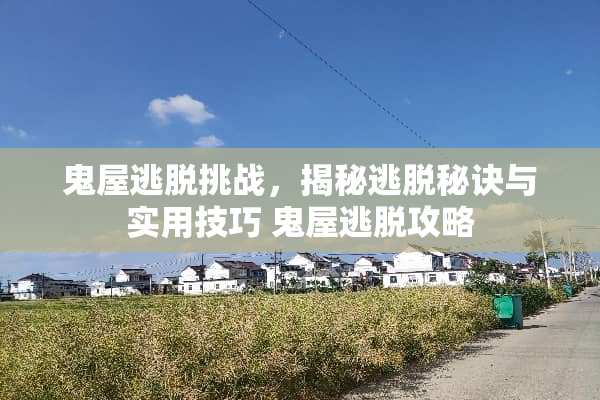鬼屋逃脱挑战，揭秘逃脱秘诀与实用技巧 鬼屋逃脱攻略