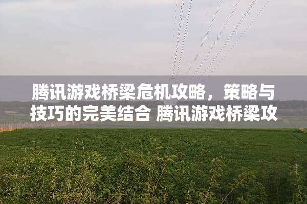 腾讯游戏桥梁危机攻略，策略与技巧的完美结合 腾讯游戏桥梁攻略怎么玩