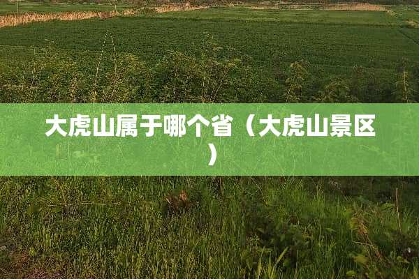 大虎山属于哪个省（大虎山景区）